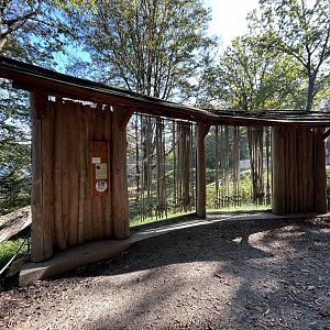 Lion-tailed Macaque Exhibit - Wanderu
