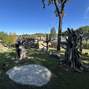 White-cheeked Gibbon & Hog Deer Exhibit