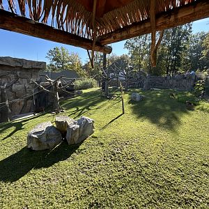 White-cheeked Gibbon & Hog Deer Exhibit