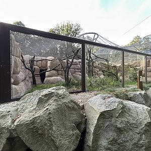Ocelot Exhibit