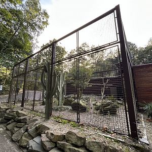 Red-legged Seriema Exhibit
