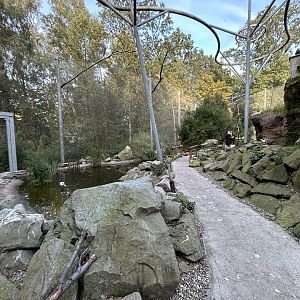 Pampas Walkthrough Aviary