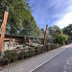 Raptor Aviaries (empty)