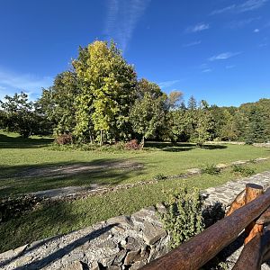 Grevy’s Zebra Exhibit
