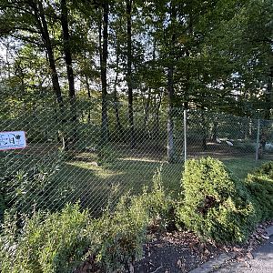 Siberian Crane Exhibit