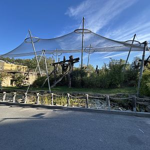 Chimpanzee Exhibit - House of Evolution