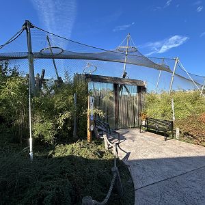 Chimpanzee Exhibit - House of Evolution