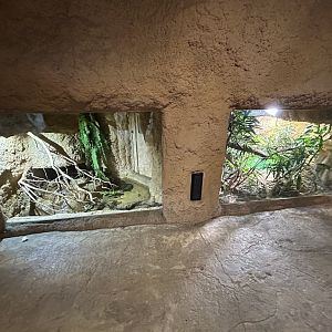 Terrariums - House of Evolution