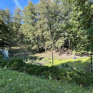 Vietnamese Sika Deer Exhibit