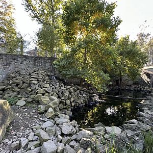 Small-clawed Otter & Binturong Exhibit - Chitwan