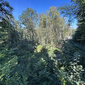 Asiatic Black Bear & Hanuman Langur Exhibit - Chitwan