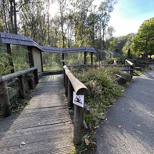 Asiatic Black Bear & Hanuman Langur Exhibit - Chitwan