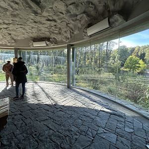 Asiatic Black Bear & Hanuman Langur Exhibit - Chitwan