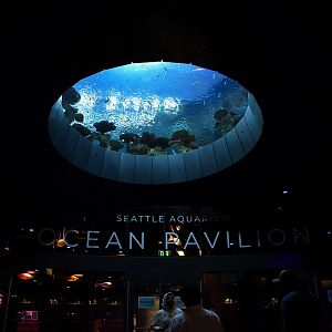 Ocean Pavilion entrance (night view)