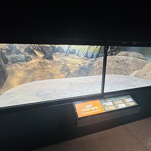 Enclosure under renovation