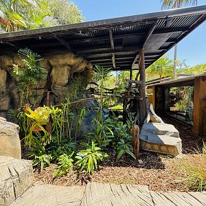 Red panda enclosure - recently refurbished