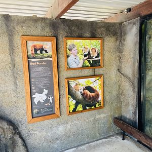 New red panda signage