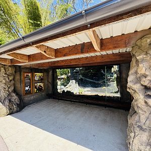 Red panda enclosure viewing area