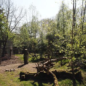 Kirk's dik-dik and Demoiselle crane exhibit, 2025-04-12