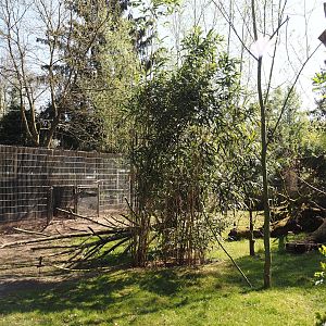 Kirk's dik-dik and Demoiselle crane exhibit, 2025-04-12