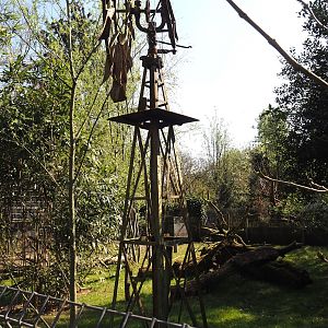 Kirk's dik-dik and Demoiselle crane exhibit, 2025-04-12