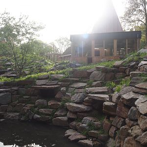 Soon-to-be exhibit for Yellow-footed rock wallabies, 2025-09-30