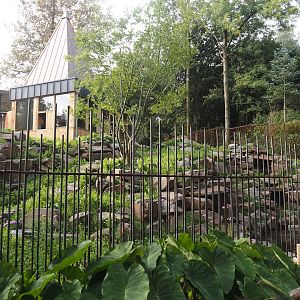 Soon-to-be exhibit for Yellow-footed rock wallabies, 2025-09-30