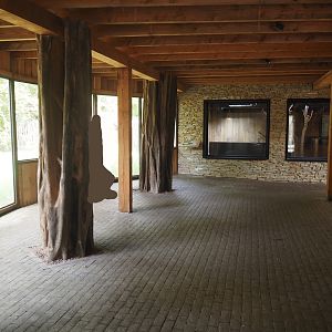 Viewing area for pygmy hippopotamus forested land area extension and indoor exhibit, 2025-09-30