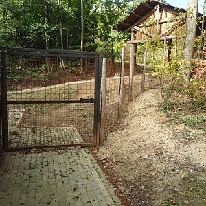 Mountain bongo and Kirk's dik-dik exhibit - Area between stable and shelter in paddock, 2025-09-30