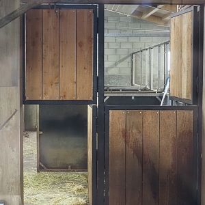 Pygmy hippopotamus off-show stalls, 2025-09-30
