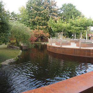 Pygmy hippopotamus exhibit and terrace, 2025-09-30