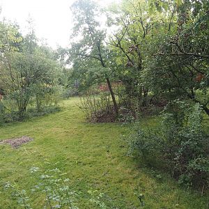 Mountain bongo and Kirk's dik-dik paddock, 2025-09-30