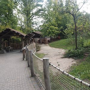 Mountain bongo and Kirk's dik-dik paddock and viewing area, 2025-09-30