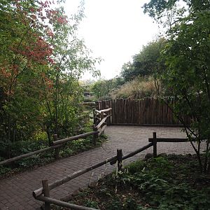 Pygmy hippopotamus viewing area, 2025-09-30