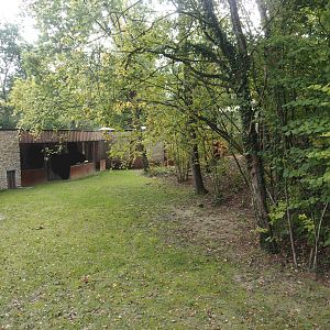 Forested land area extension connected to first pygmy hippopotamus exhibit, 2025-09-30