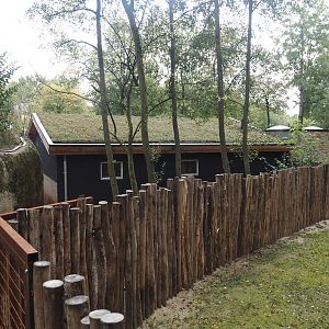 Pygmy hippopotamus house, 2025-09-30