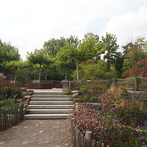 Terrace next to the second pygmy hippopotamus exhibit, 2025-09-30