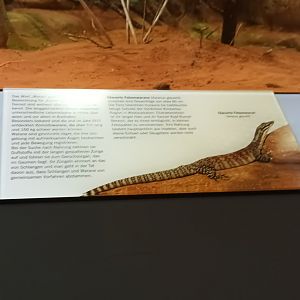 Signage Example: Kimberley rock Monitor