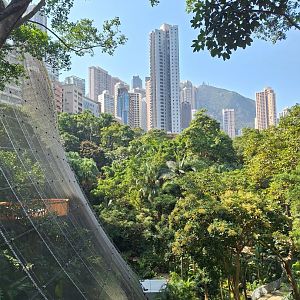 Ed Youde Aviary in HK park