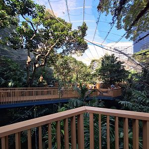 Ed Youde Aviary Overview