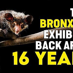 World of Darkness Virtual Walkthrough