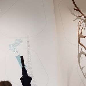 Stags and Horns Display