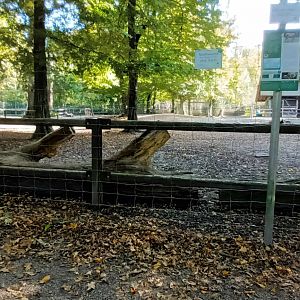 Persian Onager/ Asian wild Ass Enclosure