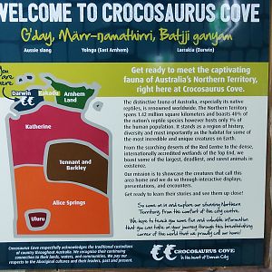 A not very useful map, Crocosaurus Cove