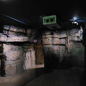 Entry area (fake cave, no animals)