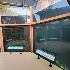 Aquarium - main viewing