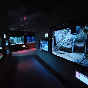Reptile House (nocturnal)