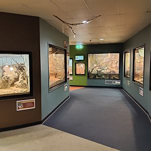 Reptile House (diurnal)
