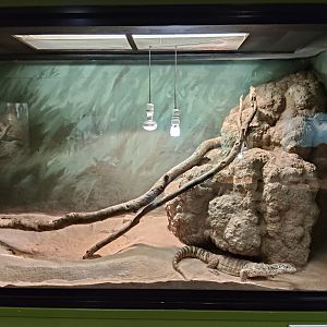 Tank examples - Spencer's Monitor
