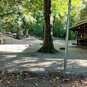 right part of the Alpine Chamois Enclosure